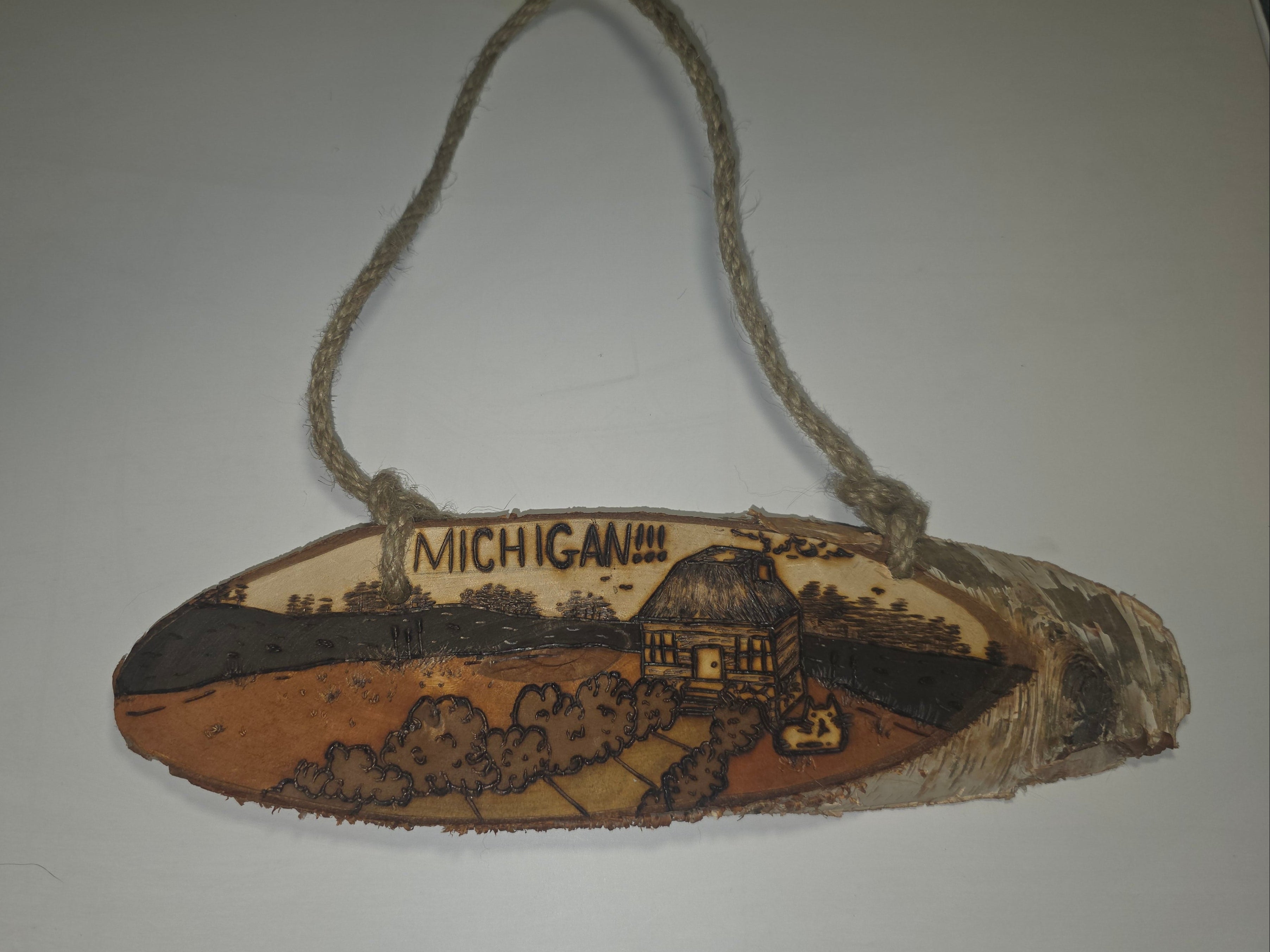Small Michigan Wooden sign