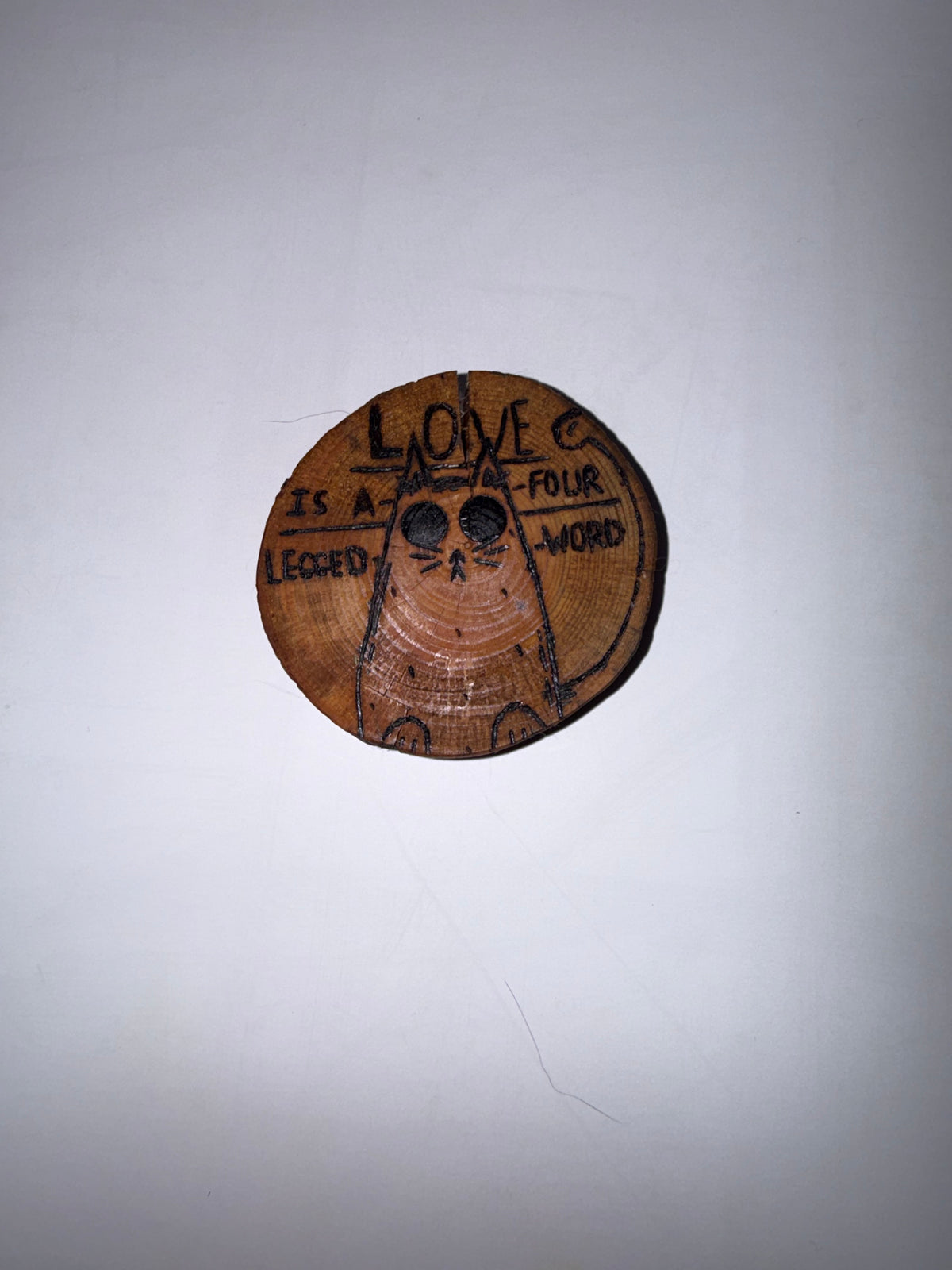 Wooden Cat Sign